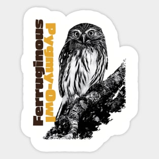 Ferruginous Pygmy-Owl Sticker